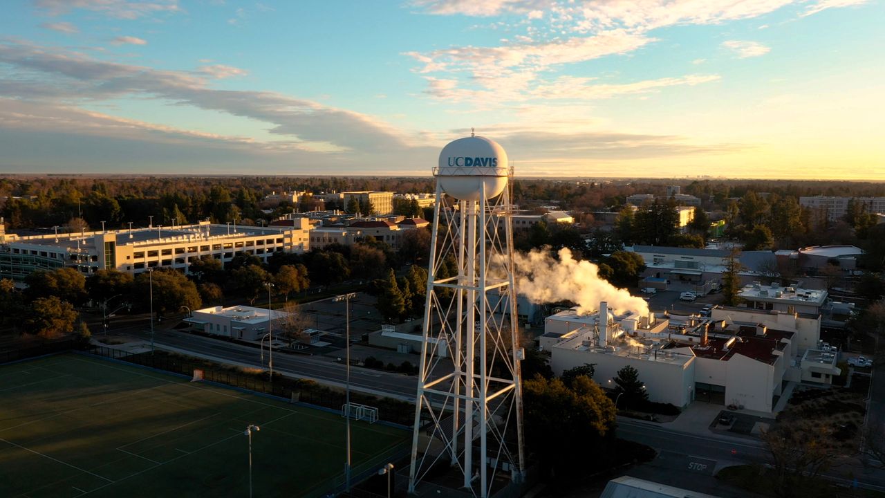 This is UC Davis